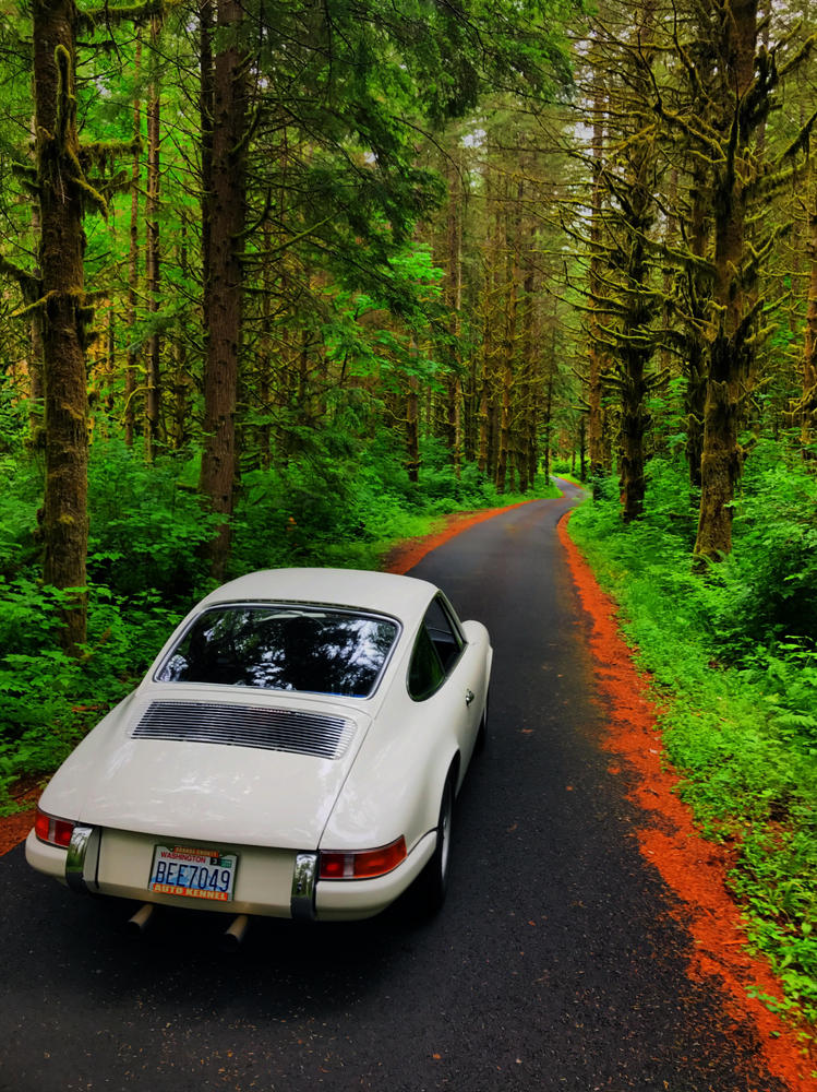 Name:  71 T in the redwoods.jpg
Views: 701
Size:  226.6 KB