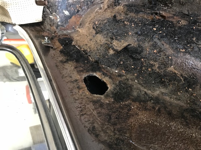 Name:  hole in back seat area 1968.jpg
Views: 316
Size:  129.1 KB